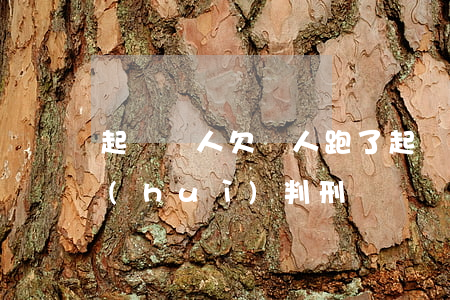 起訴別人欠錢人跑了(起訴別人欠錢人跑了會(huì)判刑嗎)
