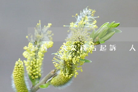 起訴別人欠錢后(起訴別人欠錢后怎么處理)