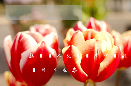 起訴別人欠錢費多少錢(起訴別人欠錢費多少錢可以立案)