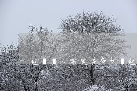起訴別人需要花多少錢(起訴別人要錢嗎)