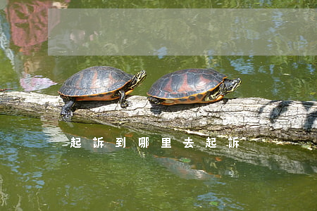 起訴到哪里去起訴