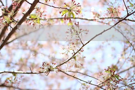 起訴到查封房子要多久(法院查封的房子一般多久解封)