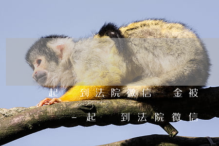 起訴到法院微信資金被凍結(jié)怎么辦-起訴到法院微信資金被凍結(jié)怎么辦呢