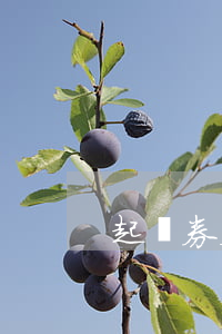 起訴券欠錢不還(起訴還不起錢怎么辦)