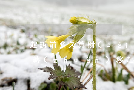 起訴前多久算財(cái)產(chǎn)轉(zhuǎn)移(起訴前多久算財(cái)產(chǎn)轉(zhuǎn)移怎么樣查車輛登記人)