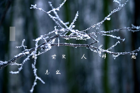 起訴前欠錢人轉移財產(起訴前欠款人轉移財產怎么辦)