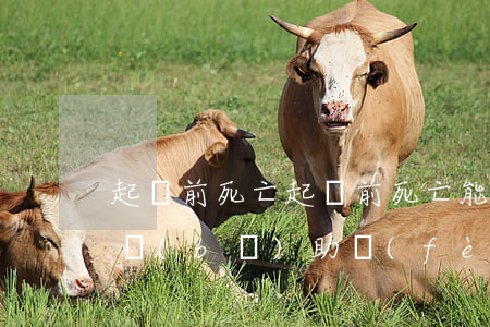 起訴前死亡(起訴前死亡,能否要求生前的傷殘補(bǔ)助費(fèi))