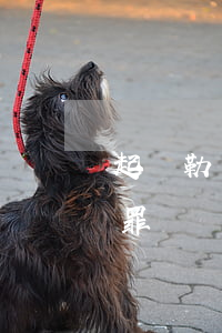 起訴勒索多少錢(多少錢構(gòu)成勒索罪)