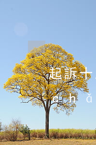 起訴十五萬(wàn)法院可以拍賣房產(chǎn)嗎(欠10萬(wàn)能拍賣100萬(wàn)的房產(chǎn))