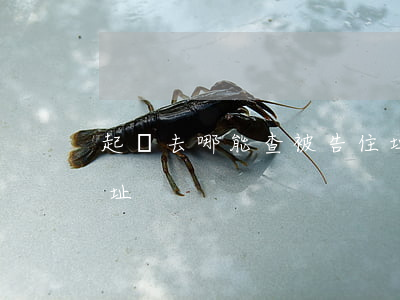 起訴去哪能查被告住址(起訴去哪能查被告住址)