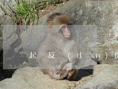 起訴反擔(dān)保人起訴狀