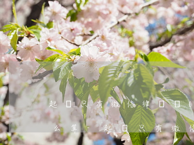 起訴只有微信律師調(diào)查費用怎么算-起訴只有微信律師調(diào)查費用怎么算呢