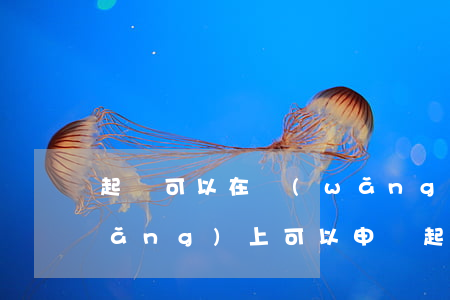 起訴可以在網(wǎng)上辦理嗎(網(wǎng)上可以申請起訴嗎?)