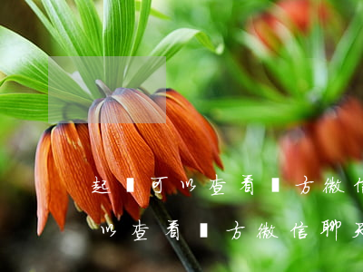 起訴可以查看對方微信聊天記錄嗎-起訴可以查看對方微信聊天記錄嗎知乎