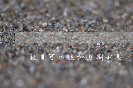 起訴可以追加逾期利息