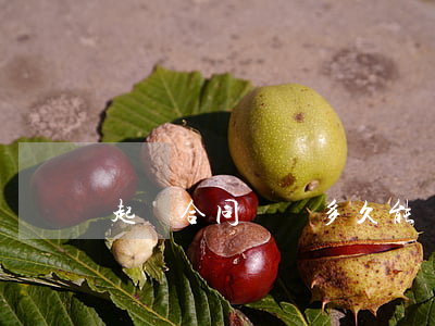起訴合同糾紛多久能傳票