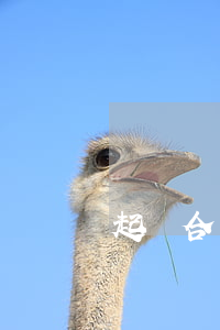 起訴合同糾紛律師怎么收費的