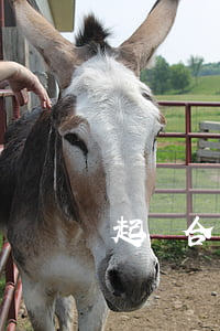 起訴合同糾紛找哪個(gè)部門