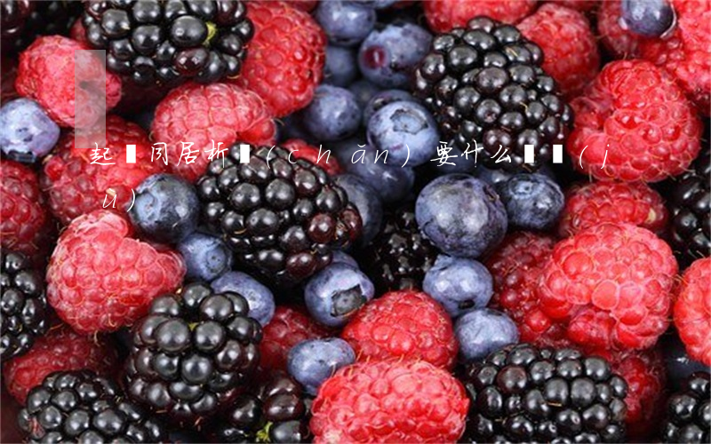 起訴同居析產(chǎn)要什么證據(jù)