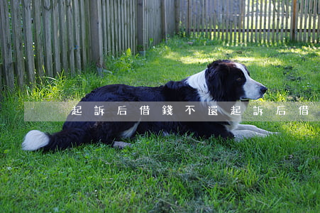 起訴后借錢不還 起訴后借錢不還怎么辦