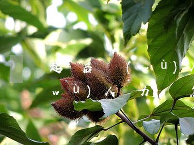 起訴后債務(wù)人無力償還(起訴債務(wù)人無力償還怎么辦呢)
