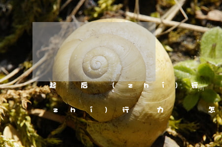 起訴后執(zhí)行無力償還(起訴后執(zhí)行無力償還怎么辦)