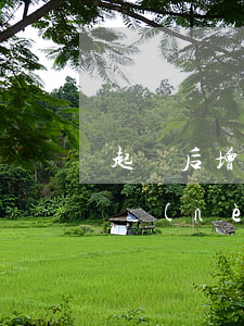 起訴后增訴訟請求應(yīng)在舉證期內(nèi)提出