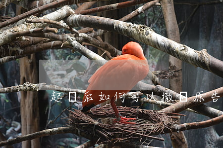 起訴后如何可以撤訴(原告撤訴后能否再起訴)