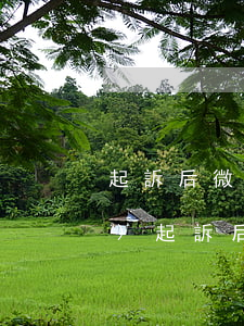 起訴后微信資產(chǎn)凍結(jié)(起訴后微信資產(chǎn)凍結(jié))