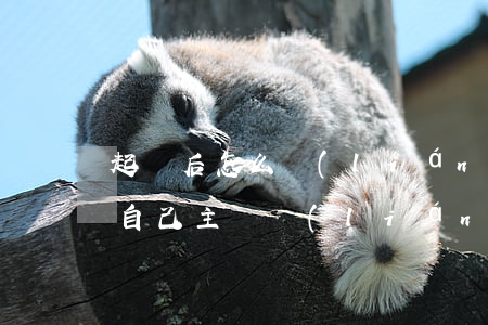 起訴后怎么聯(lián)系法官(起訴后要自己主動聯(lián)系法官嗎)
