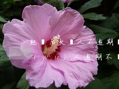 起訴后欠債人不逾期還錢咋辦(民事訴訟債務(wù)人逾期不還)