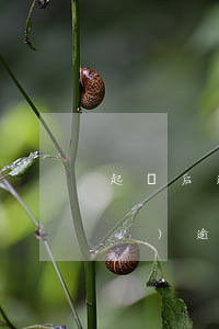 起訴后逾期不繳費(fèi)(訴訟費(fèi)逾期不交可以嗎)