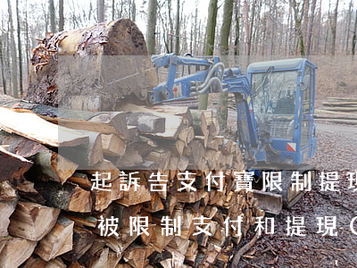 起訴告支付寶限制提現(xiàn) 支付寶被限制支付和提現(xiàn)會影響征信嗎