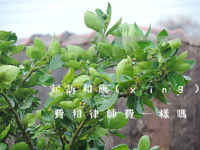 起訴和應(yīng)訴律師費哪個貴(起訴費和律師費一樣嗎)