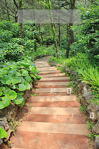 起訴商家要多少錢(起訴商家費用標(biāo)準(zhǔn))