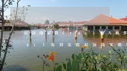 起訴商家費(fèi)用大概多少(消費(fèi)者到法院起訴商家需要多少錢)