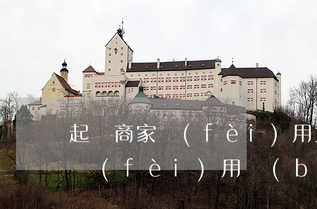 起訴商家費(fèi)用大概多少(起訴商家費(fèi)用標(biāo)準(zhǔn))