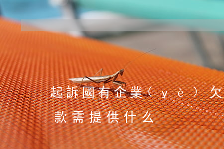 起訴國有企業(yè)欠錢不還(起訴國企欠款需提供什么)