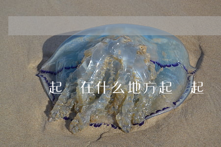 起訴在什么地方起訴(起訴上哪起訴)