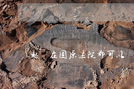 起訴在固原法院都可以嗎(固原人民法院)