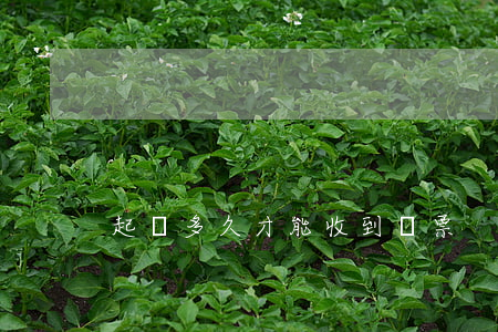 起訴多久才能收到傳票