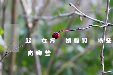 起訴女方騙婚要具備哪些條件(女方騙婚行為有哪些)