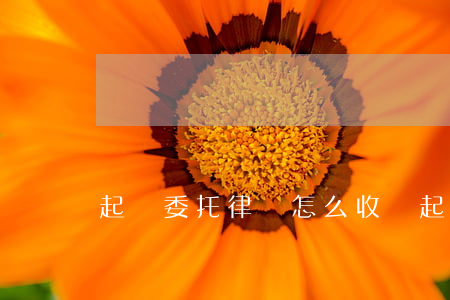 起訴委托律師怎么收費(起訴委托律師怎么收費)
