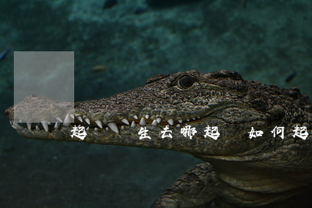 起訴學生去哪起訴（如何起訴小學生欠錢）