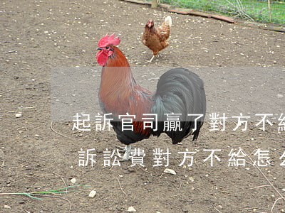 起訴官司贏了對方不給錢怎么辦(官司打贏了訴訟費對方不給怎么辦)