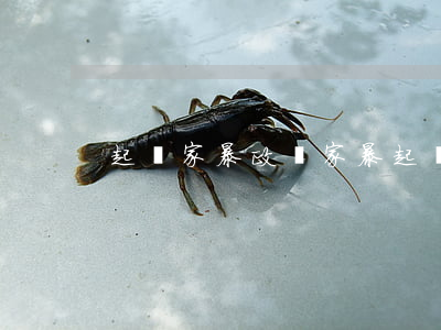 起訴家暴政審(家暴起訴流程)