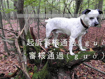 起訴審核通過(guò)還得幾天立案(立案審核通過(guò)后多久通知被告)