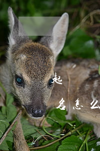 起訴對(duì)方 不知對(duì)方姓名怎么辦