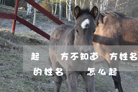 起訴對方不知道對方姓名怎么辦(不知道對方的姓名電話怎么起訴)