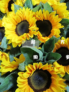 起訴對方違約需要多少錢(違約起訴流程及費用標準多少)
